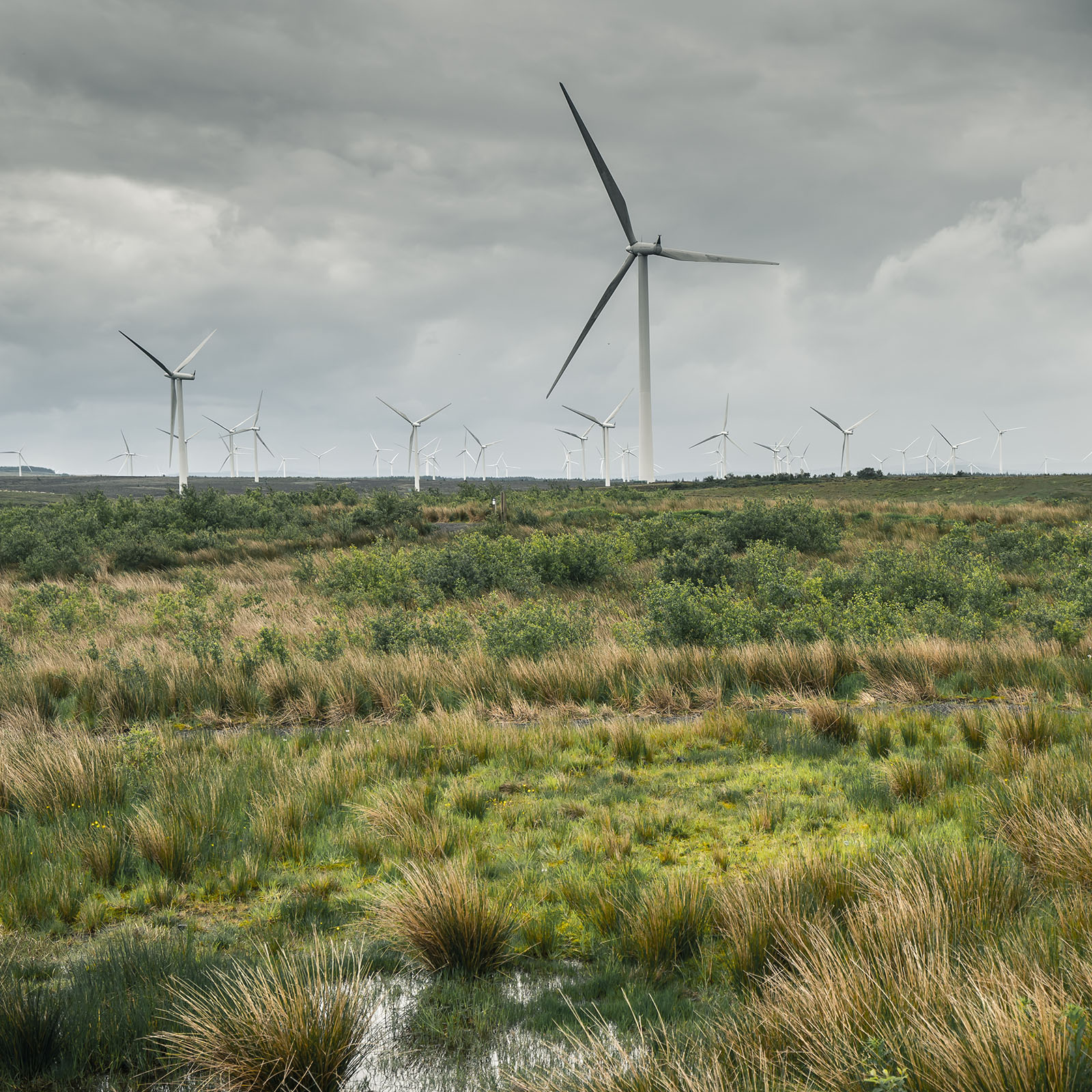wind turbines in field