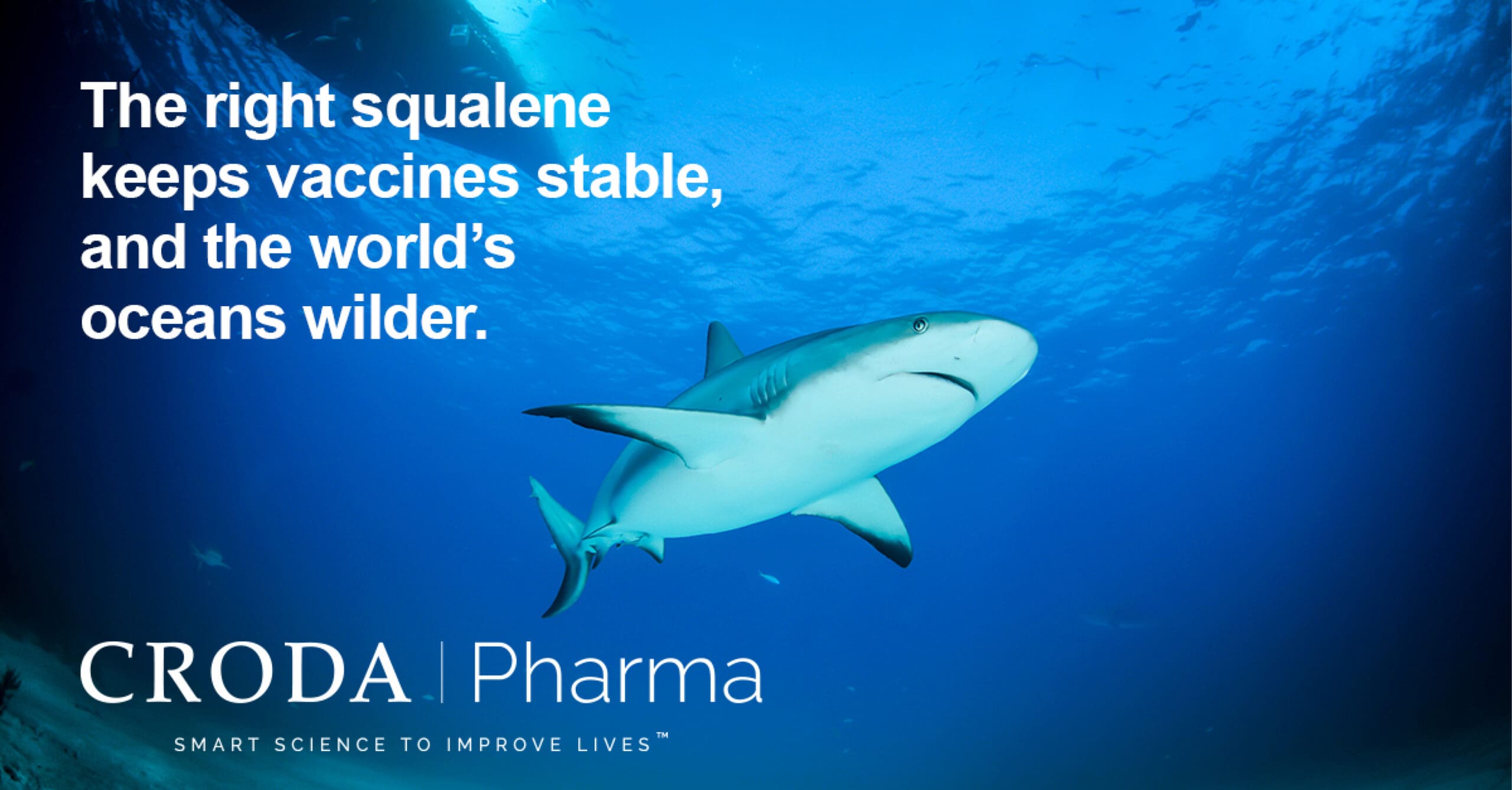 Reframing Squalene for a Cleaner Future in Vaccine Development